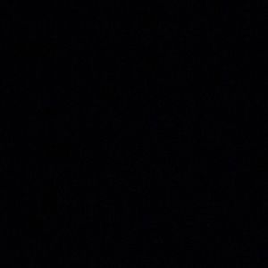 Meet your Posher, Riley